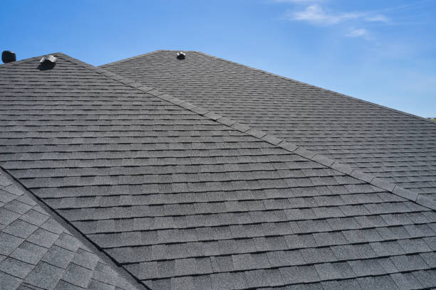 Best Solar Panel Roofing Installation  in Portland, TX