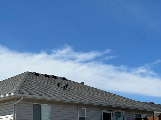 Best Roof Ventilation Installation  in Portland, TX